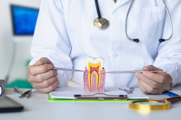 Best Emergency Cosmetic Dentistry in Mount Olive, IL